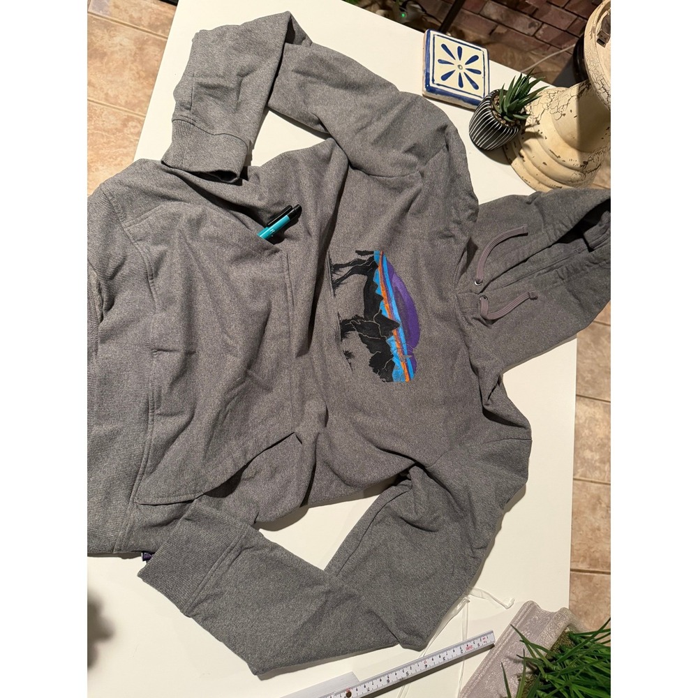 Patagonia Mens Uprisal Hoody Heather Grey Bison‎ Mountain Graphic Hoodie Size M